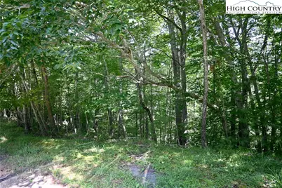 38 Turkey Ridge S. Road, Lansing, NC 28643 - Photo 4