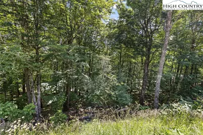 104 Northridge Lane, Beech Mountain, NC 28604 - Photo 2