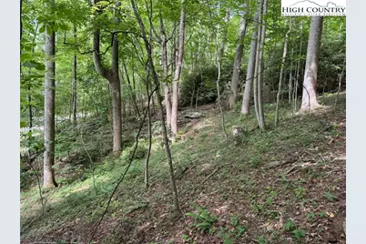 Tbd Boulder Gardens Road, Banner Elk, NC 28604 - Photo 1