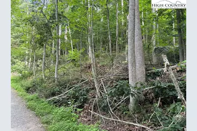 Tbd Boulder Gardens Road, Banner Elk, NC 28604 - Photo 8