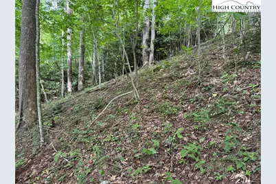 Tbd Boulder Gardens Road, Banner Elk, NC 28604 - Photo 10