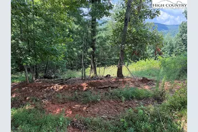 Tbd Lazy Bear Lane, Purlear, NC 28665 - Photo 26