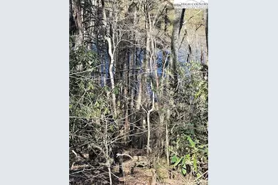 Tbd Spruce Lane, Crumpler, NC 28617 - Photo 6