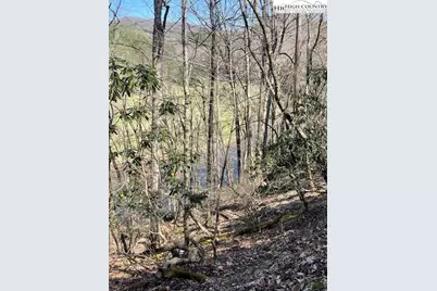 Tbd Spruce Lane, Crumpler, NC 28617 - Photo 4