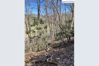 Tbd Spruce Lane, Crumpler, NC 28617 - Photo 10