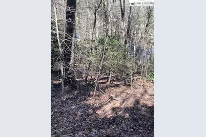 Tbd Spruce Lane, Crumpler, NC 28617 - Photo 8