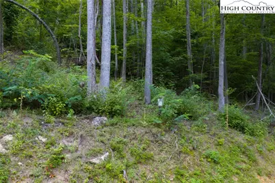 48 Wildcat Wilderness Parkway, Deep Gap, NC 28618 - Photo 16