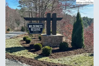 48 Wildcat Wilderness Parkway, Deep Gap, NC 28618 - Photo 2