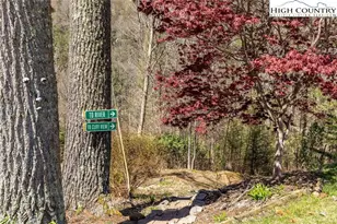 389 Auborn Trivette Rd, Sugar Grove, NC 28679 - Photo 30