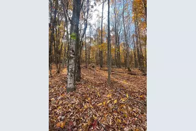 Tbd Winter Street, Jefferson, NC 28640 - Photo 2