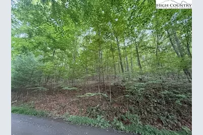 Tbd Winter Street, Jefferson, NC 28640 - Photo 12