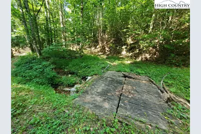 5023 Elk Park Highway, Elk Park, NC 28622 - Photo 40