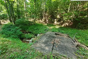 5023 Elk Park Hwy, Elk Park, NC 28622 - Photo 40