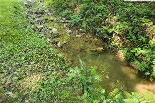 5023 Elk Park Hwy, Elk Park, NC 28622 - Photo 44