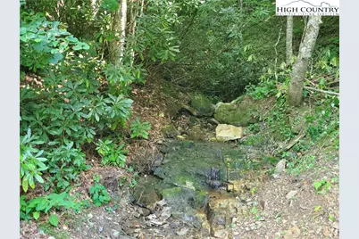 5023 Elk Park Highway, Elk Park, NC 28622 - Photo 46