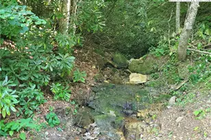 5023 Elk Park Hwy, Elk Park, NC 28622 - Photo 46