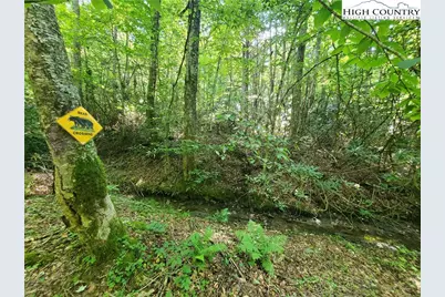 5023 Elk Park Highway, Elk Park, NC 28622 - Photo 38