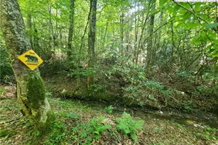 5023 Elk Park Hwy, Elk Park, NC 28622 - Photo 38