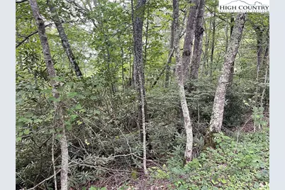Tbd Snow Ridge Road, Banner Elk, NC 28604 - Photo 1