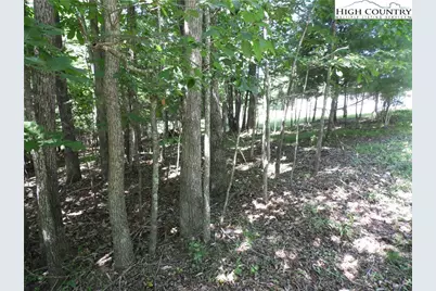 Tbd Hickory View Drive #34, Sparta, NC 28675 - Photo 8