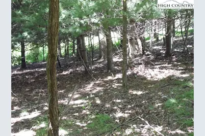 Tbd Hickory View Drive #34, Sparta, NC 28675 - Photo 10