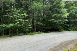 Tbd (Lot 62) Dave's Connector Rd, Jefferson, NC 28640 - Photo 1