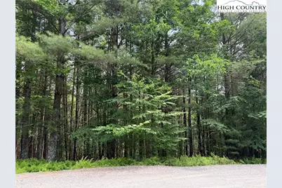 Tbd (Lot 62) Dave's Connector Road, Jefferson, NC 28640 - Photo 6
