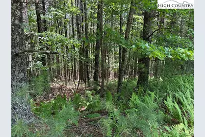 Tbd (Lot 62) Dave's Connector Road, Jefferson, NC 28640 - Photo 10