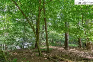 Lot 255 256 Lakeside Dr, West Jefferson, NC 28694 - Photo 1