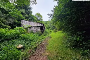 13296 Nc Hwy 194, Lansing, NC 28643 - Photo 22