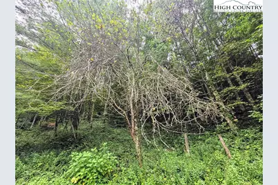 13296 Nc Highway 194, Lansing, NC 28643 - Photo 26