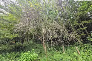 13296 Nc Hwy 194, Lansing, NC 28643 - Photo 26