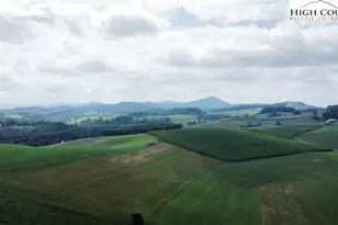 459 Edwards Rd, Ennice, NC 28623 - Photo 36