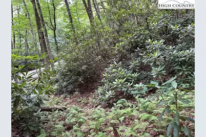 Tbd Jewel Weed Lane, Blowing Rock, NC 28605 - Photo 16