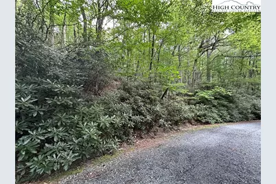 Tbd Jewel Weed Lane, Blowing Rock, NC 28605 - Photo 2