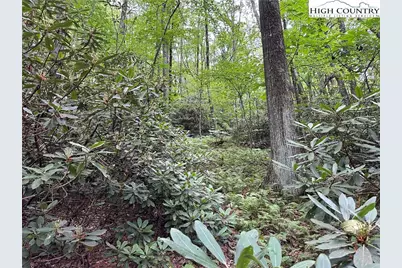 Tbd Jewel Weed Lane, Blowing Rock, NC 28605 - Photo 4