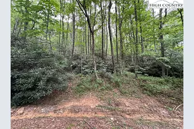 Tbd Jewel Weed Lane, Blowing Rock, NC 28605 - Photo 12