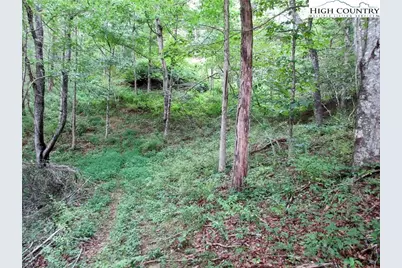 1294 Spencer Branch Road, Lansing, NC 28643 - Photo 40