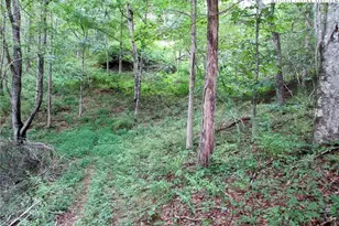 1294 Spencer Branch Rd, Lansing, NC 28643 - Photo 40