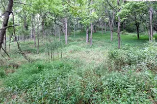 1294 Spencer Branch Rd, Lansing, NC 28643 - Photo 38