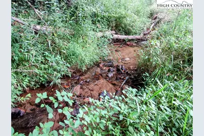 1294 Spencer Branch Road, Lansing, NC 28643 - Photo 42