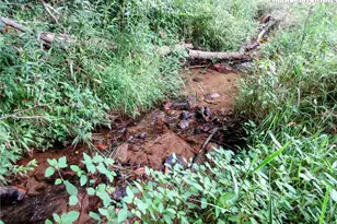 1294 Spencer Branch Rd, Lansing, NC 28643 - Photo 42