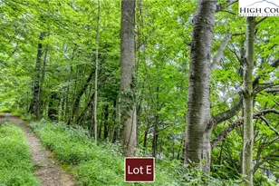 Lot E Burkett St, West Jefferson, NC 28694 - Photo 1