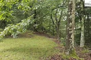 749 Blue Bird Ln, Laurel Springs, NC 28644 - Photo 30