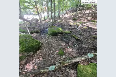 106 Woodridge Road, Beech Mountain, NC 28604 - Photo 12