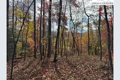 Tbd Globe Road, Lenoir, NC 28645 - Photo 24