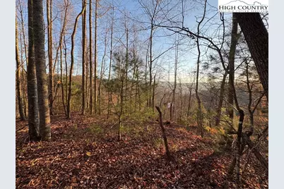 Tbd Globe Road, Lenoir, NC 28645 - Photo 8