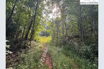 Tbd Globe Road, Lenoir, NC 28645 - Photo 14