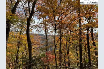 Tbd Globe Road, Lenoir, NC 28645 - Photo 12