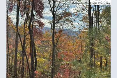 Tbd Globe Road, Lenoir, NC 28645 - Photo 28